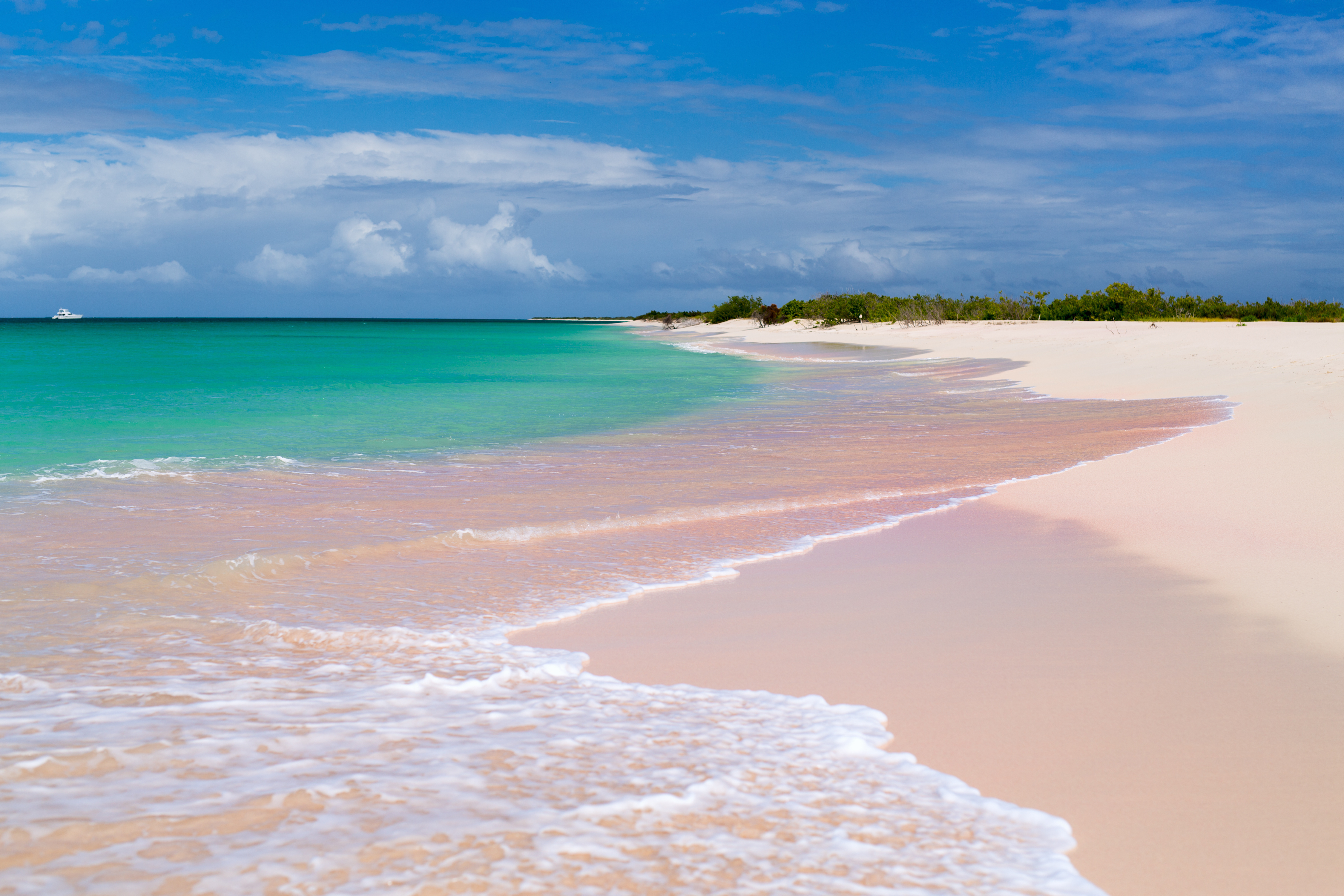 RIF Trust revela que la playa de arena rosa de Barbuda es una de las mejores playas de Antigua y Barbuda.