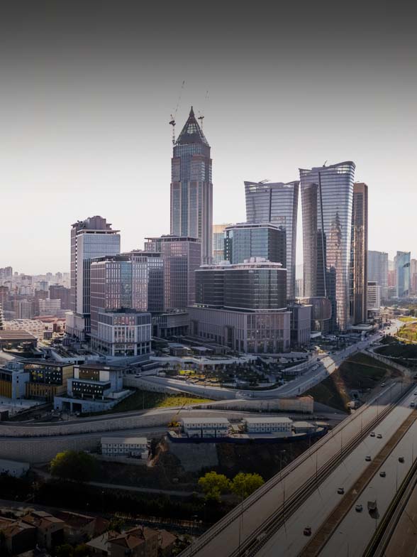 What Is the State of the Turkish Economy in 2024?